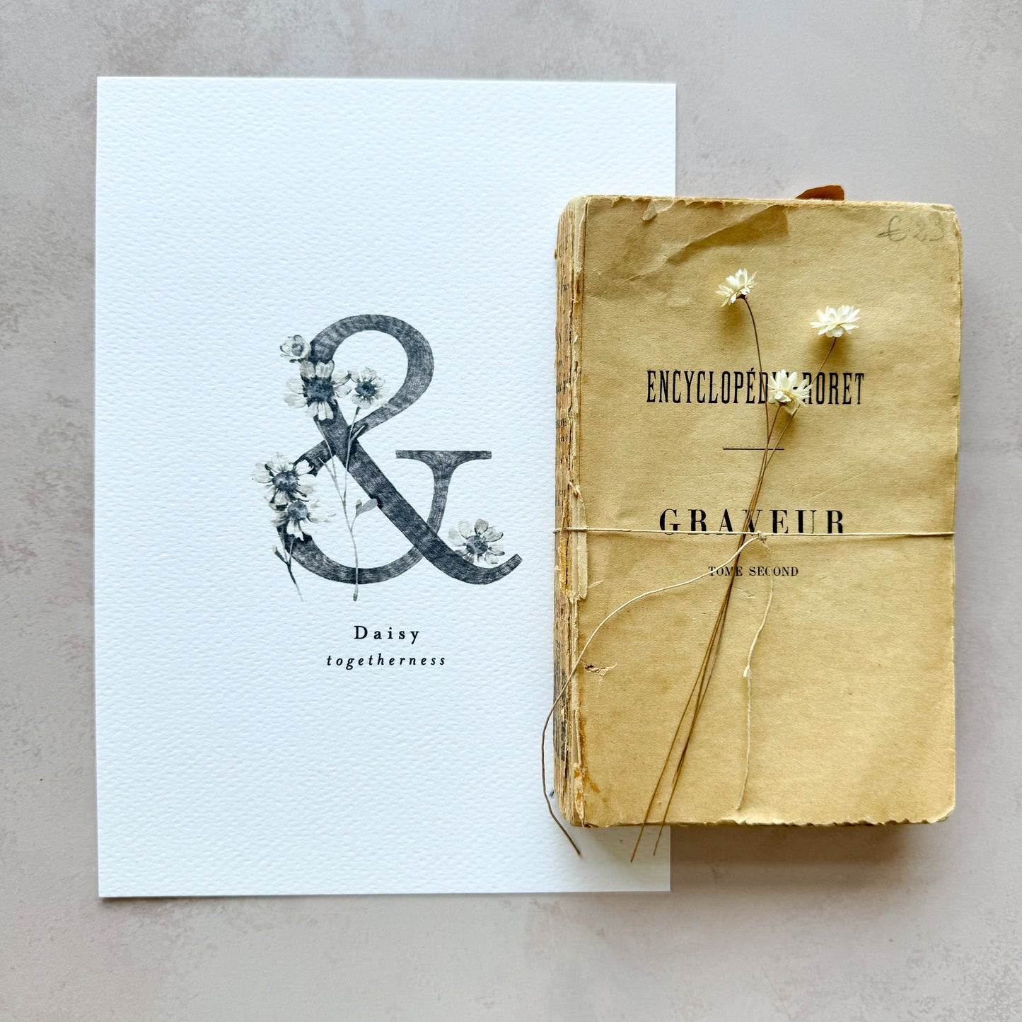 A5 Ampersand Daisy Togetherness Print