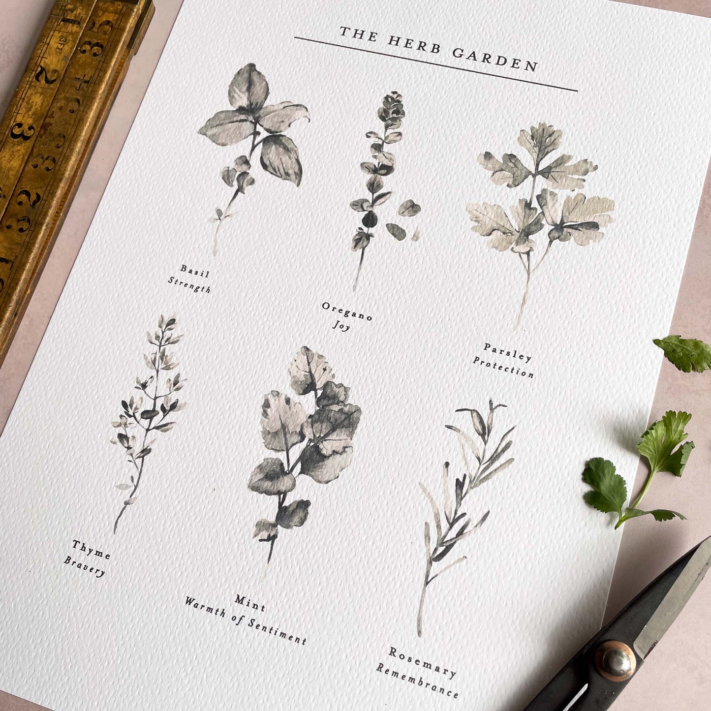 The Herb Garden Print