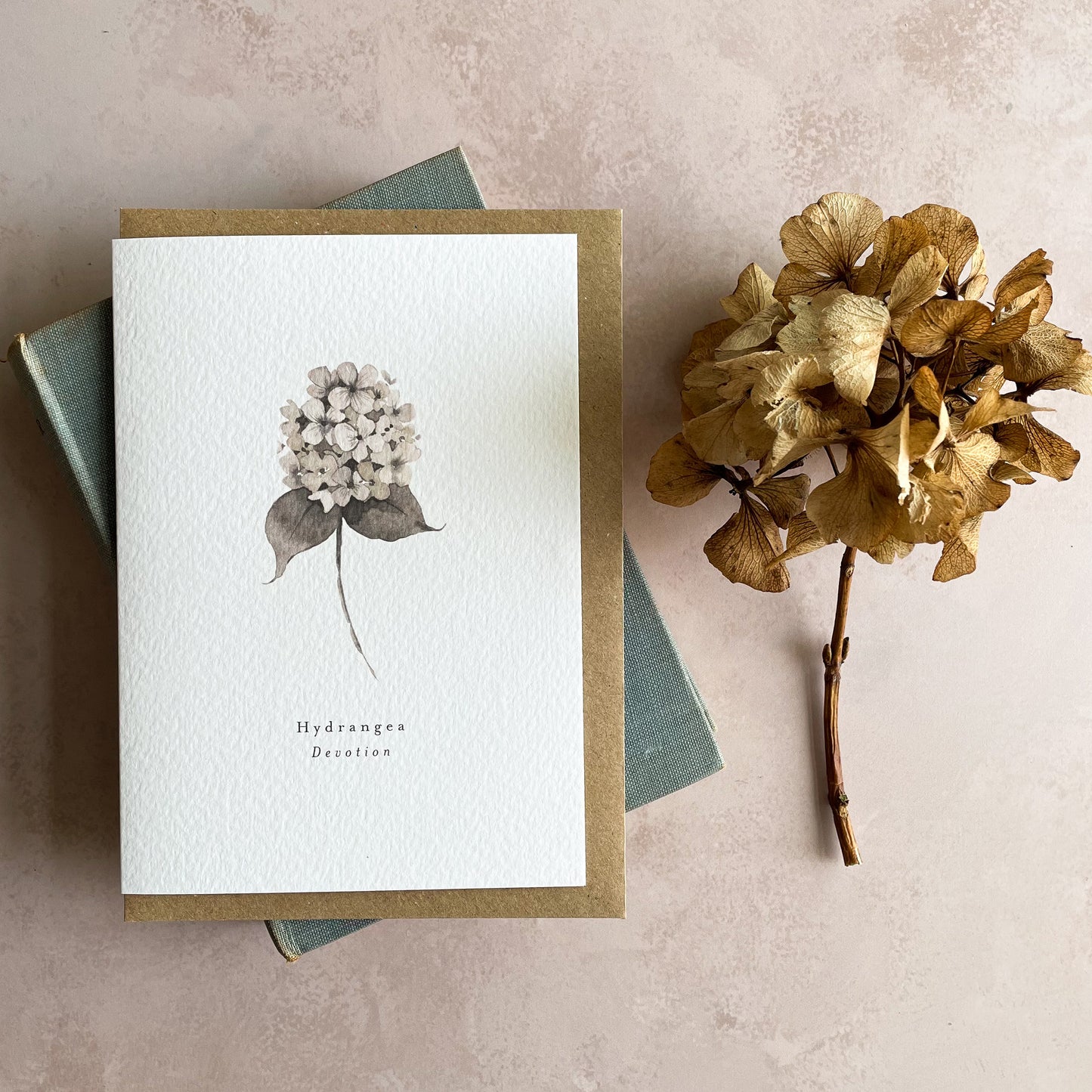 Hydrangea 'Devotion' Card