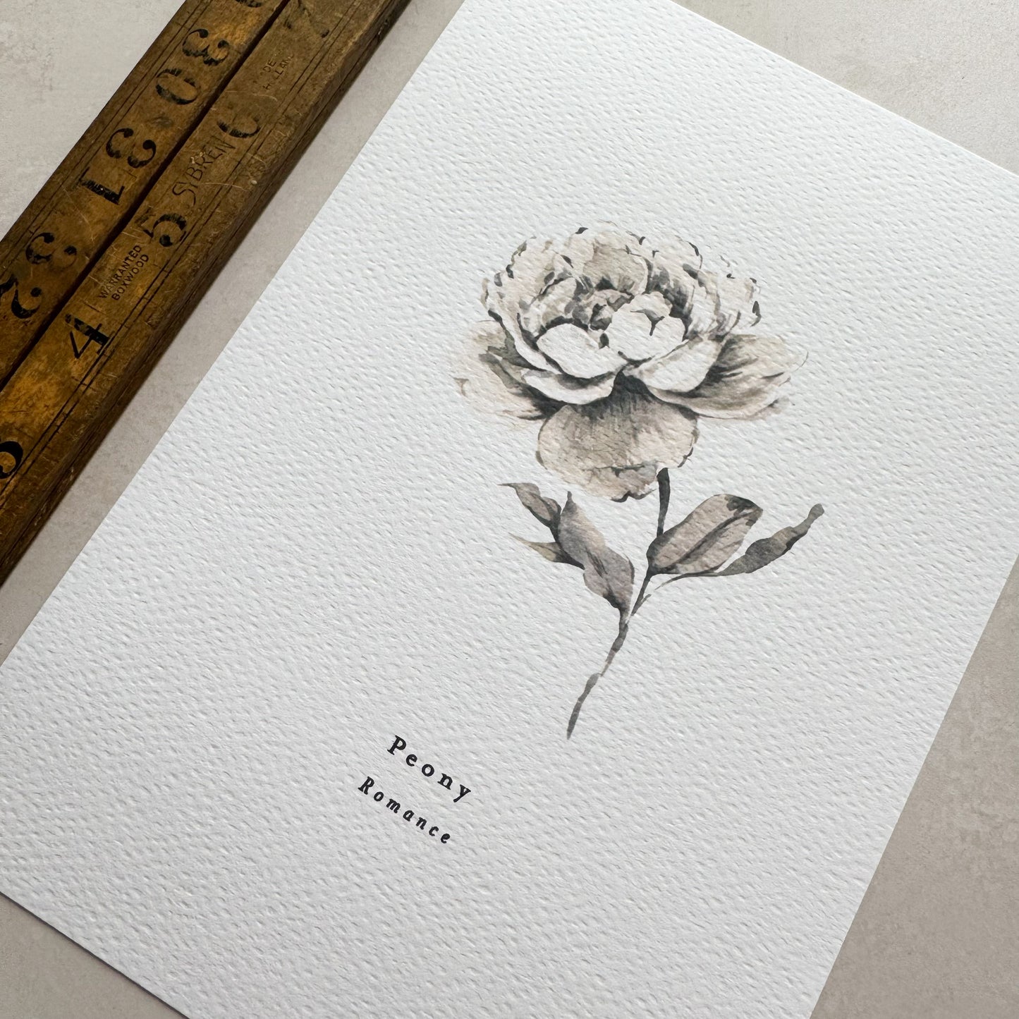 Peony 'Romance' Print