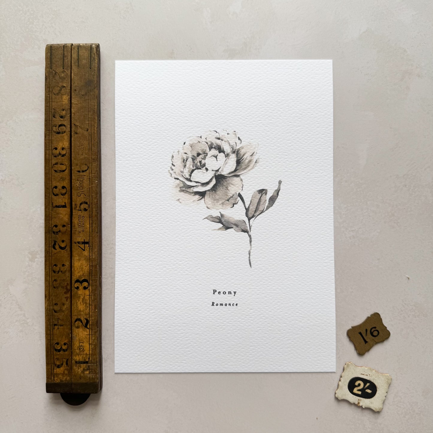 Peony 'Romance' Print