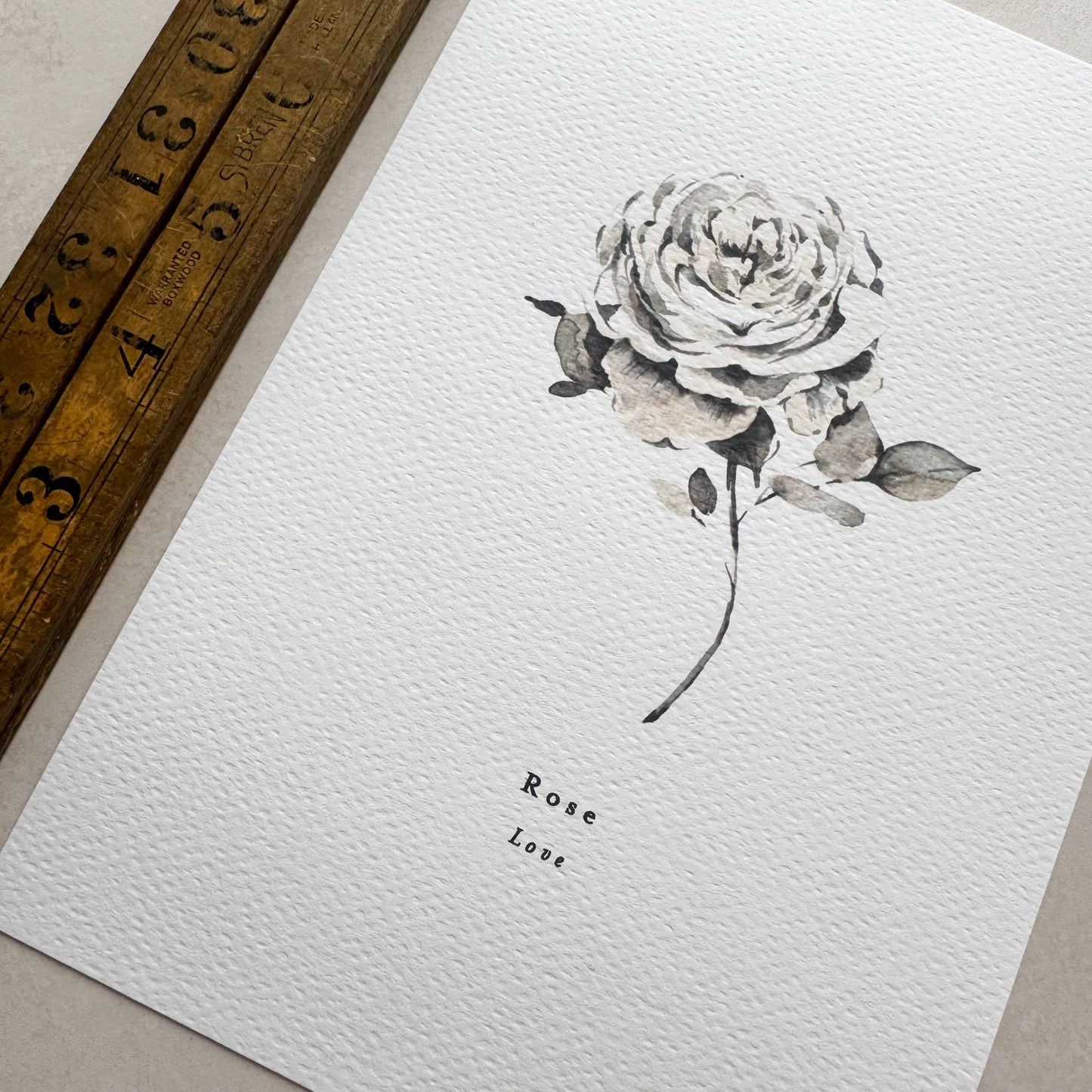Rose 'Love' Print
