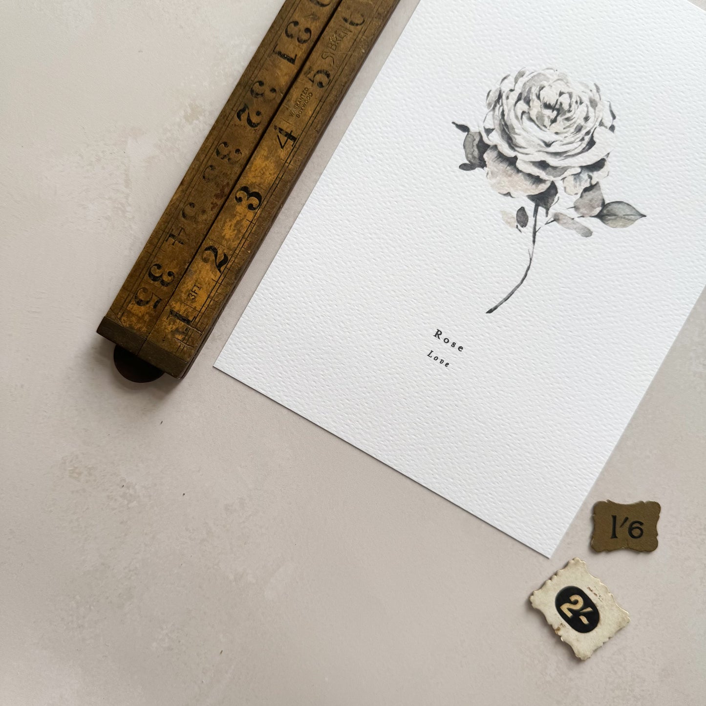 Rose 'Love' Print