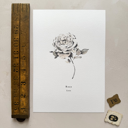 Rose 'Love' Print