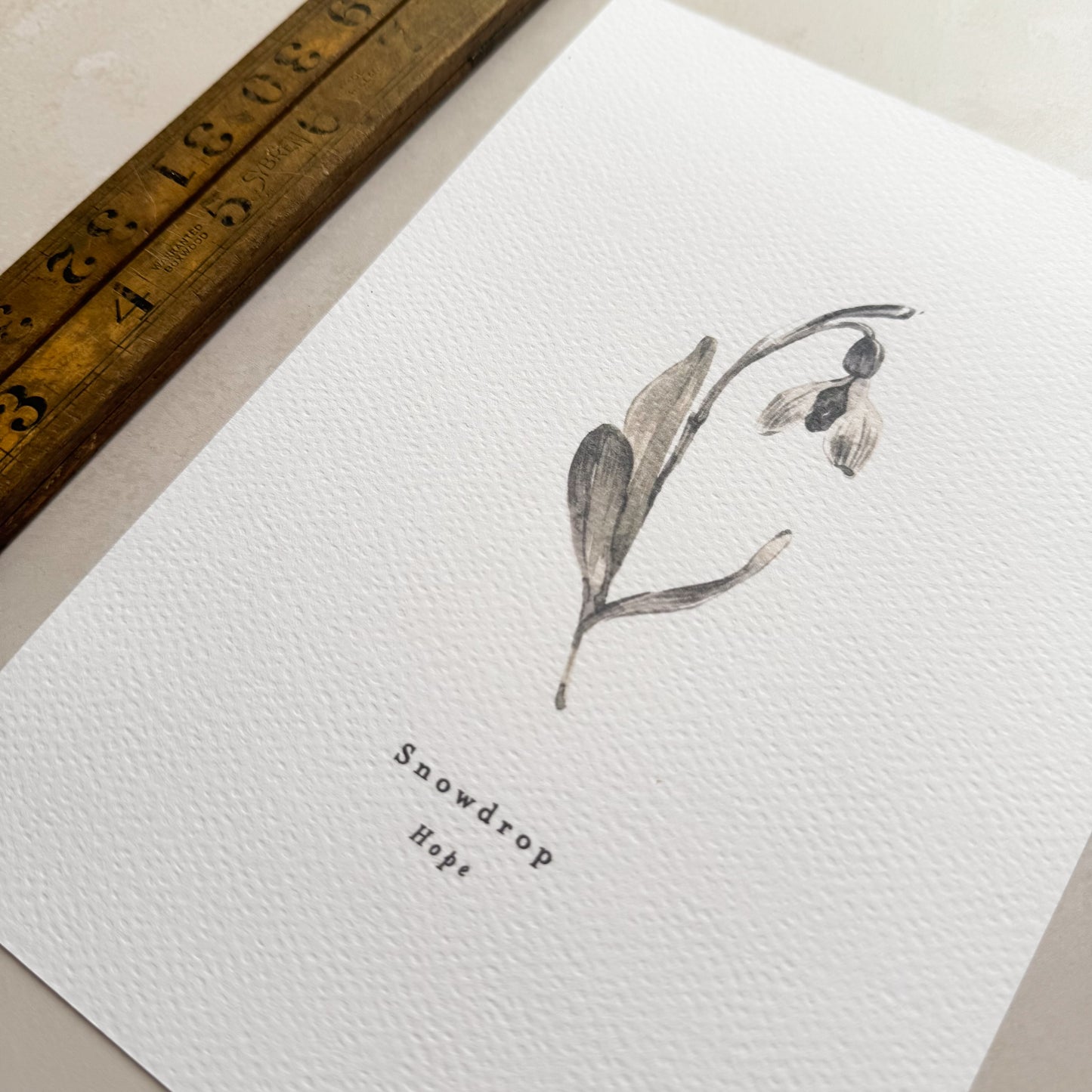 Snowdrop 'Hope' Print