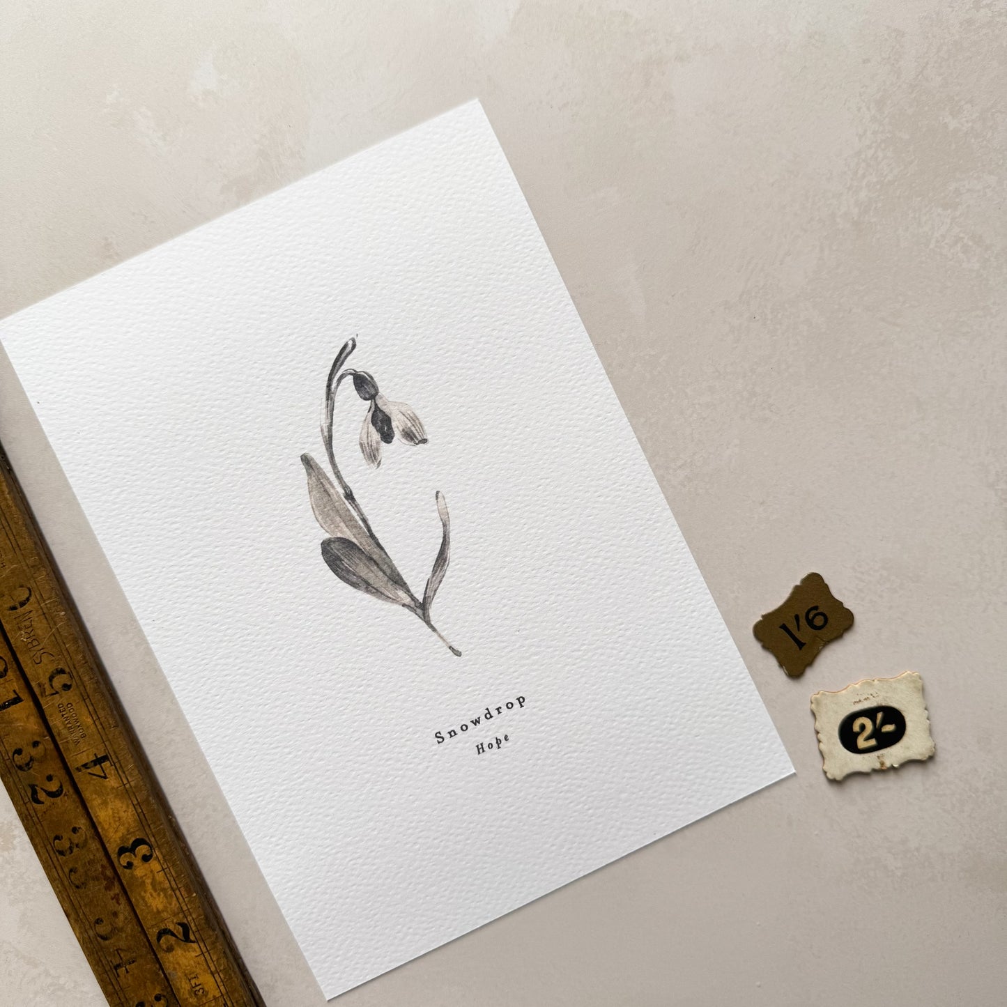 Snowdrop 'Hope' Print