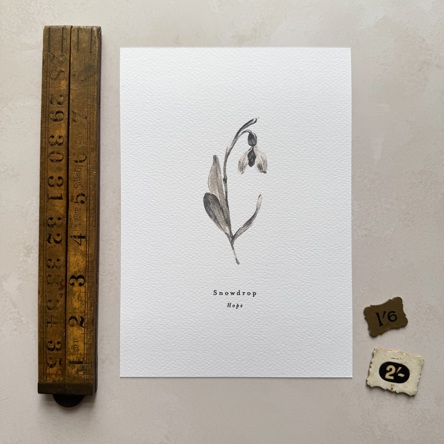 Snowdrop 'Hope' Print