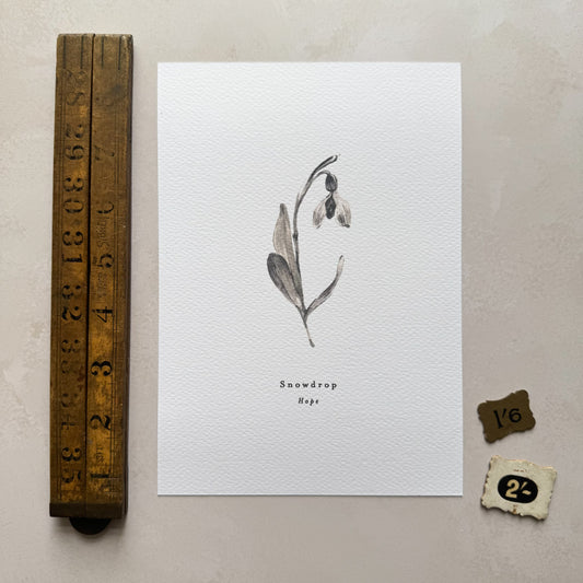 Snowdrop 'Hope' Print